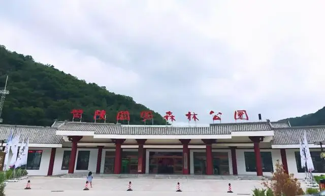 如何制定智能篮球训练计划_1